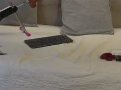 Lovense sex cam